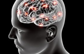 小脑萎缩只会发生在脑部么？