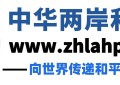 思归心-海峡-2024中国·国际数字影视文化高峰论坛成功举行！