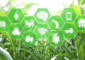 互联网+“绿色无公害食品”，推动农产品发展新模式